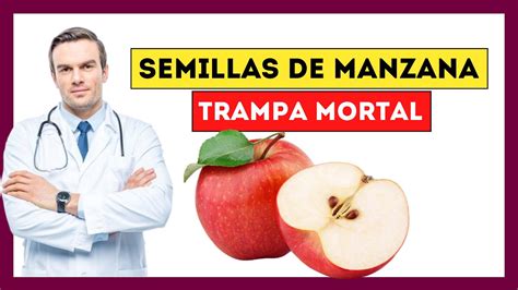 Descubre Los Usos De La Semilla De Manzana Beatriz Arroyo