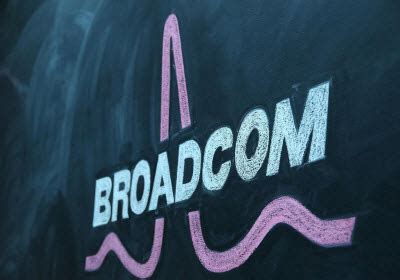 Broadcom's CEO bets on a behemoth market for wearable chips (interview ...