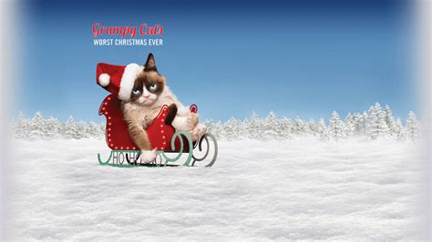 🔥 [50+] Grumpy Cat Christmas Wallpapers | WallpaperSafari