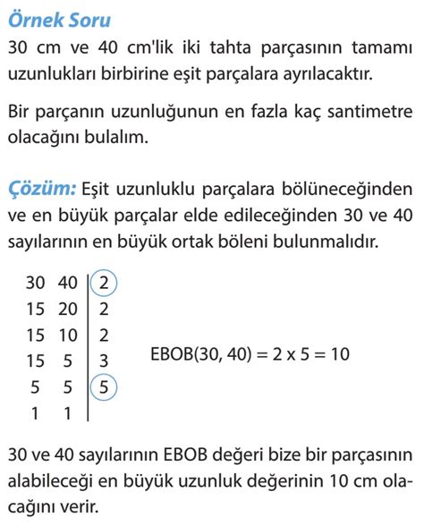 S N F En B Y K Ortak B Len Ebob Konu Anlat M Z Ml Sorular