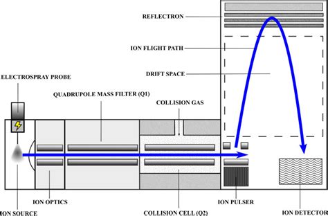 Quadrupole Time Of Flight Mass Spectrometry A Paradigm Shift In