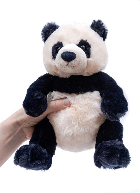 Brinquedo Enchido Do Luxuoso Do Urso De Panda Isolado Imagem De Stock