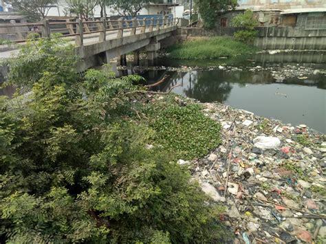 Kali Perancis Dipenuhi Sampah Warga Keluhkan Bau Tak Sedap Suara