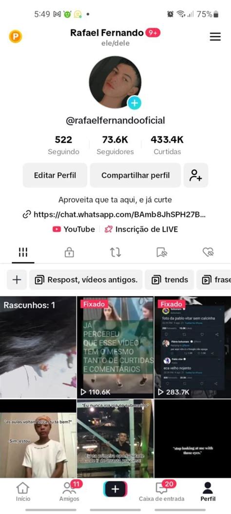 Conta Do Tik Tok K N O Monetizada Alpha