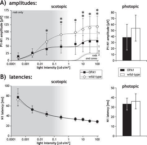 Figure 1 From Electrophysiological And Histologic Assessment Of Retinal