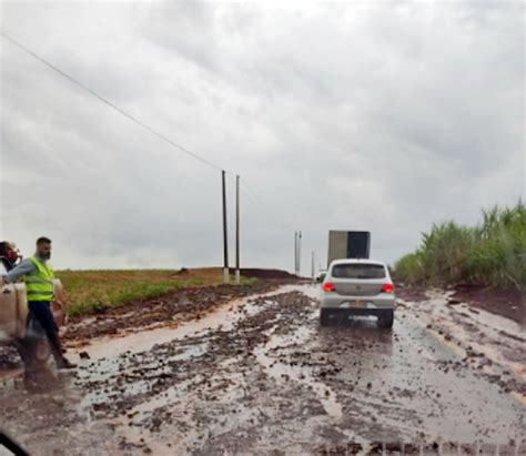 Chuva torrencial derruba árvores em pista e alaga residências