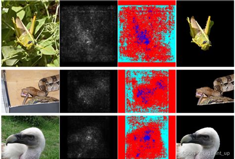 Deep Inside Convolutional Networks Visualising Image Classification