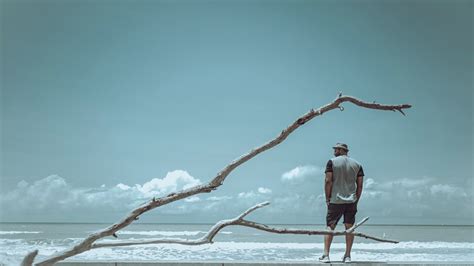 The Art of Storytelling with Images: Exploring Aesthetics with ... 