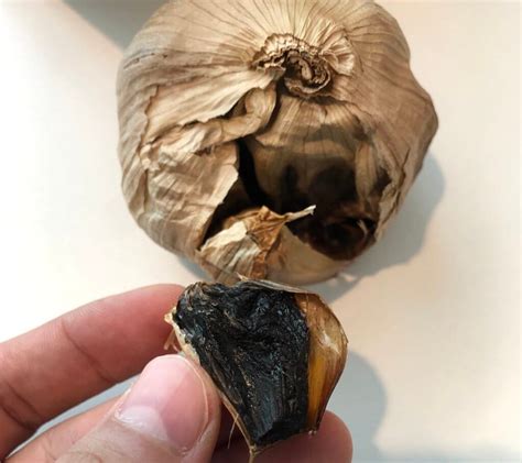 How To Store Black Garlic And How Long Shelf Life Is Possible Black