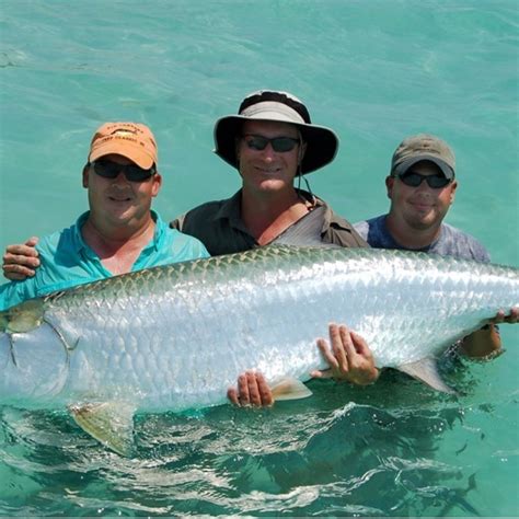 Tampa Bay Fish Species - Captain Matt Fishing Charters