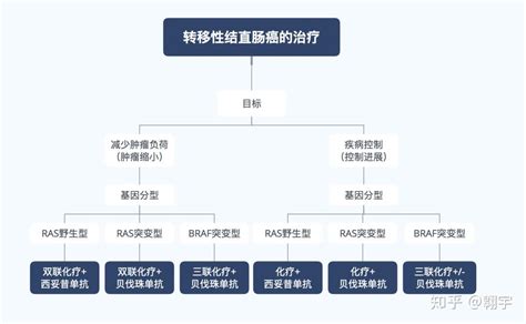 晚期结直肠癌治疗方案的选择与优化 知乎