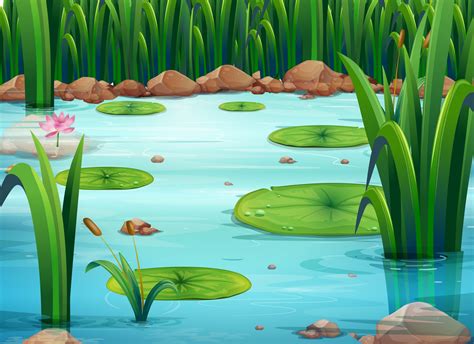 Pin By Людмила On картинки детям Pond Painting Pond Drawing