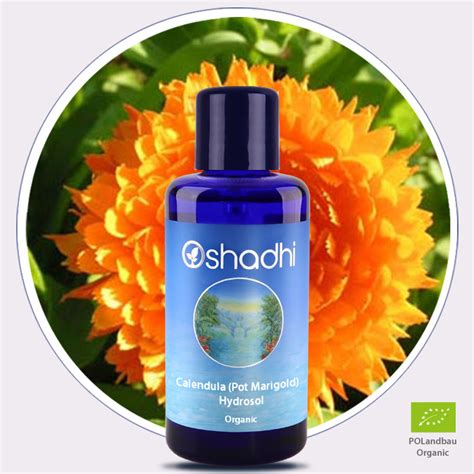 Calendula Pot Marigold Hydrosol Organic Oshadhi Essential Oils