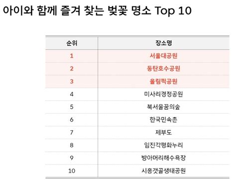 “꽃구경 어디로 가세요”통신사 데이터로 본 ‘벚꽃 핫플 매일경제