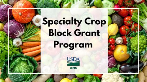 Usda Awards 72 9 Million In Specialty Crop Block Grant Funding Fruit Growers News