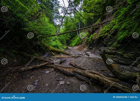 Chestnut Ridge Park Eternal Flame Falls Stock Photo Image Of River