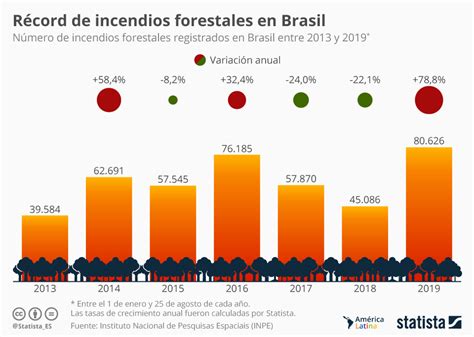 Gráfico Se Registran Casi El Doble De Incendios En Brasil Que En 2018