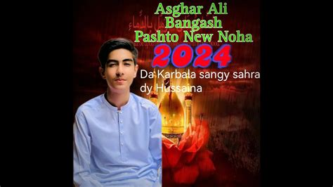 Pashto New Noha Da Karbala Sangy Sahra Dy Hussaina Asghar Ali