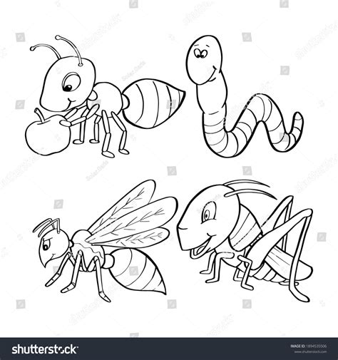 Hand Drawn Insects Collection Coloring Page Stock Vector Royalty Free