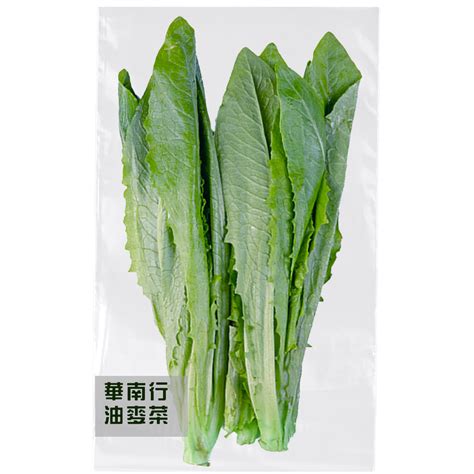 Fresh Chinese Lettuce Pack 180g 300g Self Delivery Zones Only