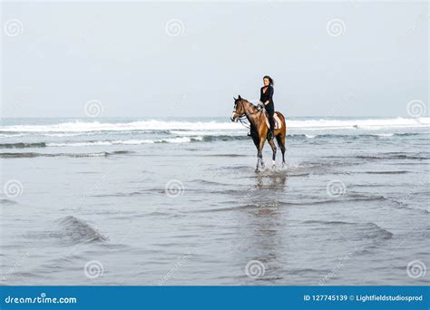 Distant View Of Female Equestrian Riding Horse Stock Image Image Of