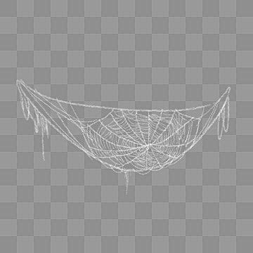 Telaraña PNG Imágenes Transparentes Vectores y Archivos PSD