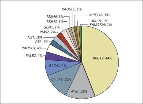 Inherited DNA-Repair Gene Mutations in Men with Metastatic Prostate ...