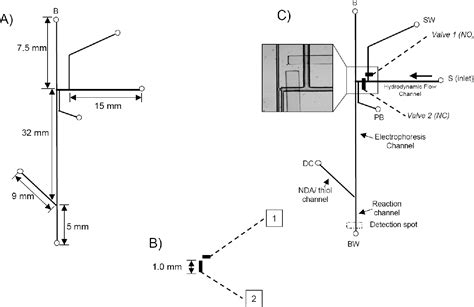 Figure 1 From Microchip Based Integration Of Cell Immobilization Electrophoresis Post Column