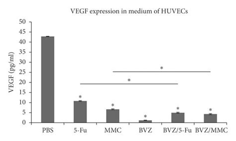 Effect Of 5 Fluorouracil 5 Fu Mitomycin C MMC Bevacizumab BVZ