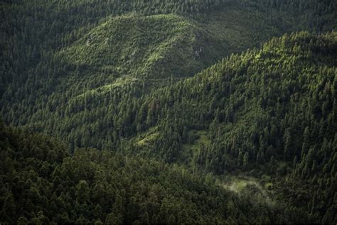 Sedema recupera 205 mil metros cuadrados de suelo de conservación y