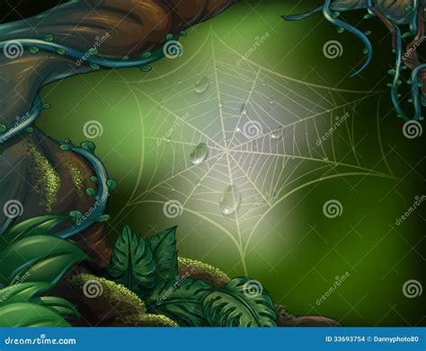 A Spider Web in a Rainforest Stock Vector - Illustration of drawing, scene: 33693754