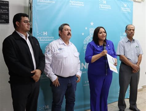 SAG anuncia medidas para contribuir a la producción de granos básicos y