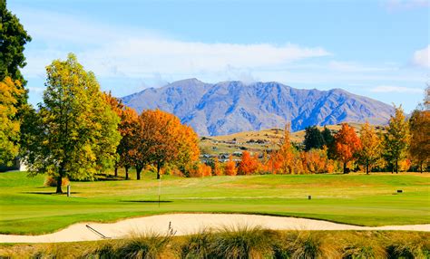 Autumn Colours Millbrook Maples Easy Big Trees New Zealand