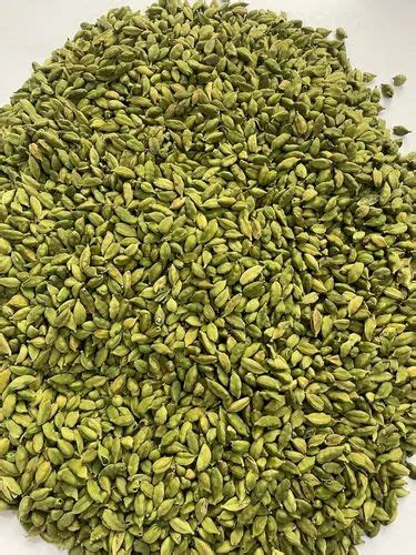 Whole Spices Green Cardamom Elaichi Exporter From Navi Mumbai