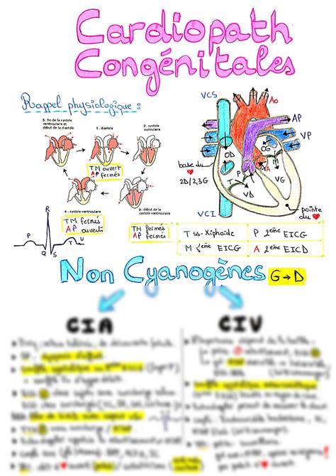 Solution Cardiopathies Cong Nitales Studypool