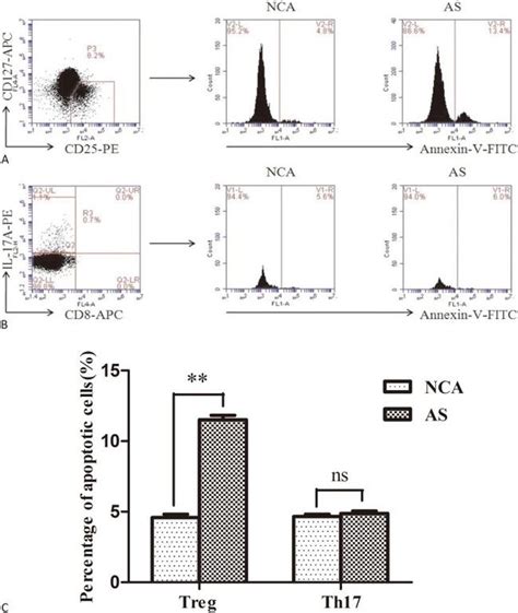 cd monoclonal antibody bc
