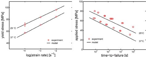 Yield Stress Versus Logarithm Of Strain Rate Left Applied True