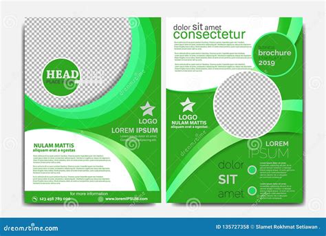 Business Brochure Template Green Color R Stock Vector Illustration Of