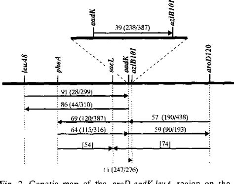 Figure 2 From Genetic Mapping In Bacillus Subtilis 168 Of The AadK Gene