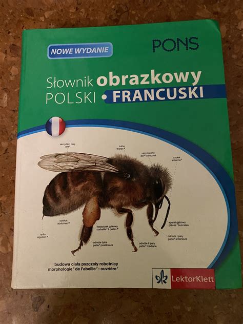 Słownik obrazkowy Polski Francuski Pons Skawina Kup teraz na