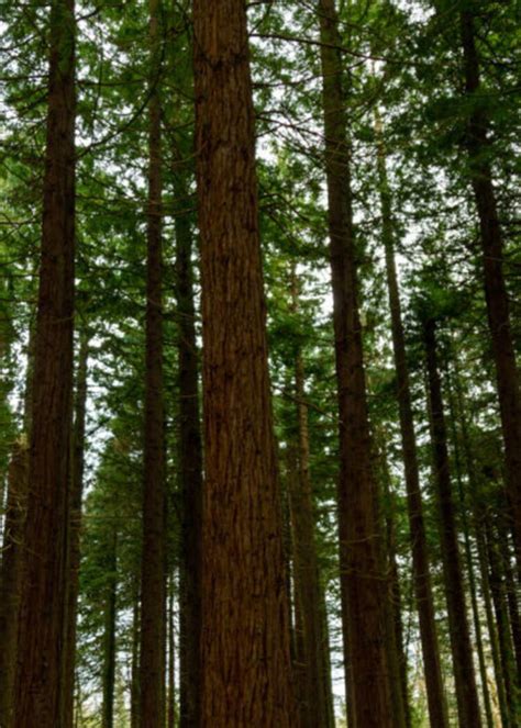 Sept bonnes nouvelles pour le climat et la planète passées inaperçues