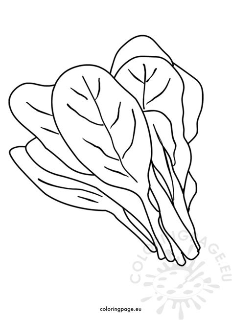 Spinach Coloring Page