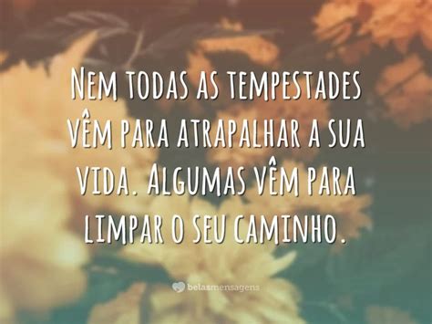 35 frases de resiliência para encarar a vida força e esperança