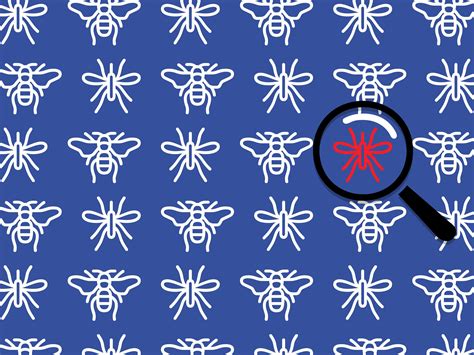 Facebook Bug Bounty Program Makes Biggest Reward Payout Yet | WIRED