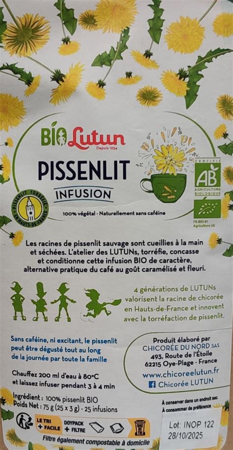 Pissenlit Torr Fi Bio Sachets Infusette De G Chicor E Du Nord