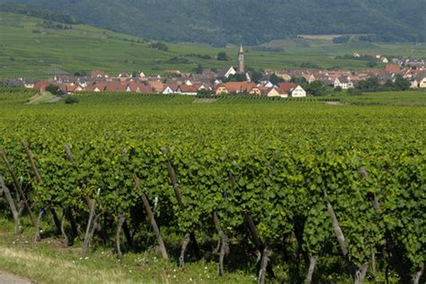 Bennwihr village viticole en Alsace dans le Pays de Ribeauvillé et