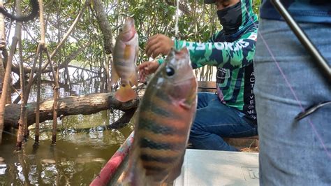 Pesca En Rio Blanco Veracruz Pesca De Guapotes Y Castarricas Youtube