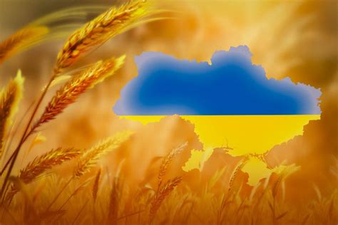 16 лютого відзначаємо День єднання України: що це за свято - vsim.ua