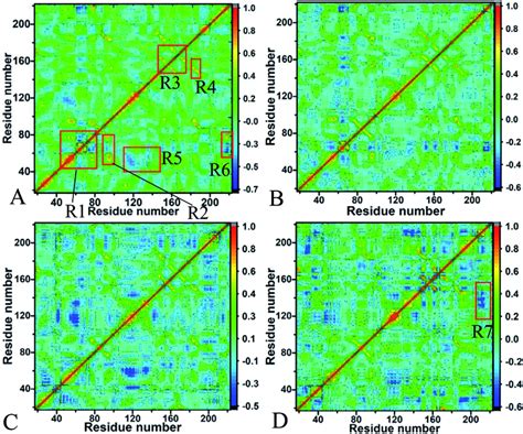 Cross Correlation Maps Of The Fluctuations Of The Coordinates For Cα