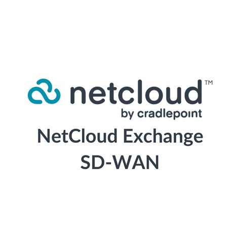 Cradlepoint Netcloud Exchange Sd Wan 5 Years Large